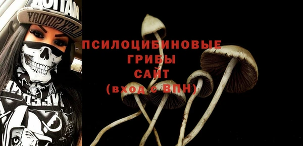 ALPHA-PVP Алексин