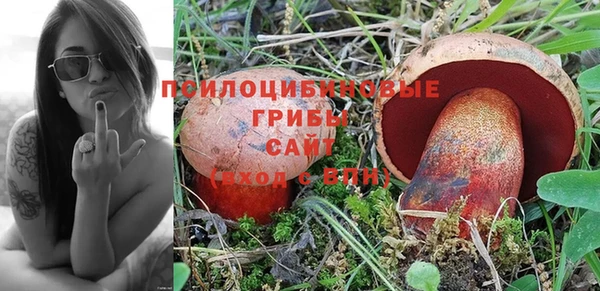круглые Алзамай