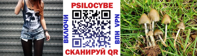 Галлюциногенные грибы Cubensis  купить наркотики сайты  Североуральск 
