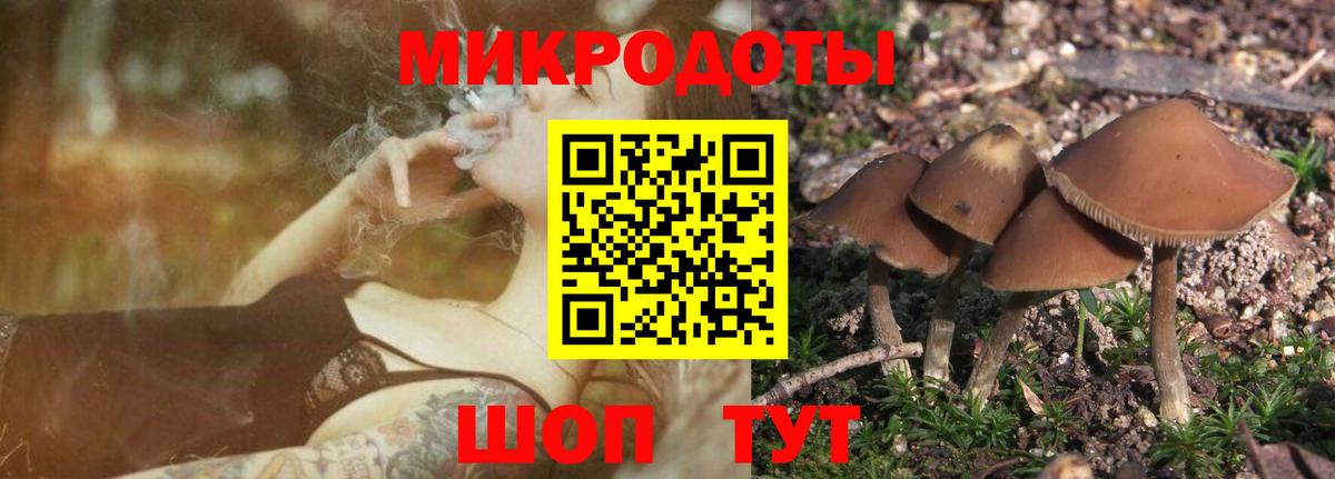 Галлюциногенные грибы GOLDEN TEACHER  даркнет сайт  Североуральск  Вход с VPN 
