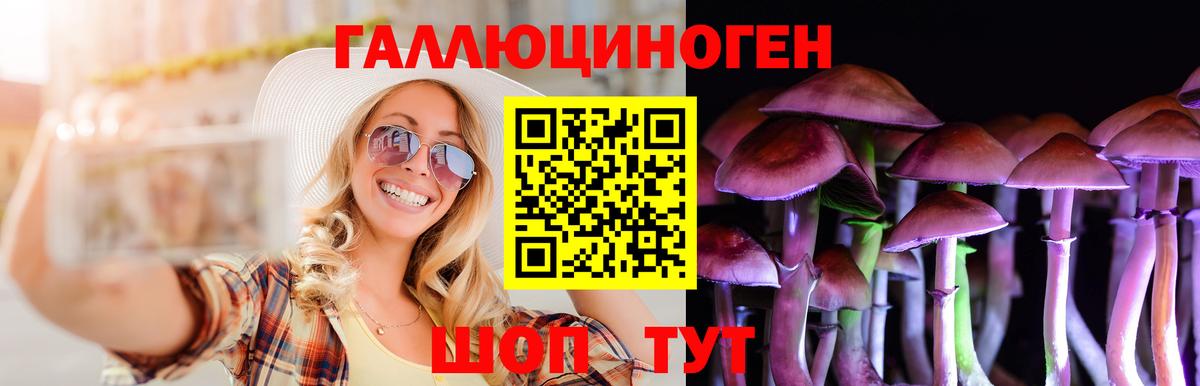Галлюциногенные грибы Cubensis Североуральск